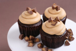 in-my-mouth:  Chocolate Peanut Butter Cupcakes