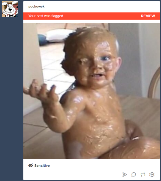 pochowek:  pochowek:  pochowek:  pochowek: On the early morning of december 17th im going to post the peanut butter baby, an image rich in skin tone pixels, like 50 times in a row, and get banned They dont like it already  Hold on lemme post another one