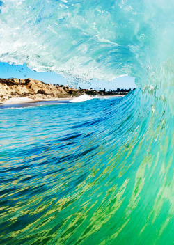 surf4living:  photo: nick liotta