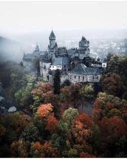 wanderlog:  Hessen, Germany. Photo: @_andre.diaz #hessen #germany #nature #landscape #scenery #explore #travel #photography #wanderlog https://www.instagram.com/p/BqmzwzIFkQV/?utm_source=ig_tumblr_share&amp;igshid=4j0qh53dvjtu