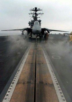 worldofaviation:  F-14 Tomcat   Ready for