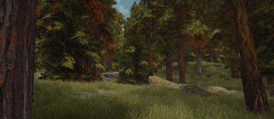 Skyrim  ↳ Forest of Dibella
