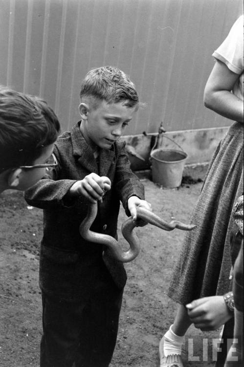 Reluctant snake handler at the San Diego Zoo(Allan Grant. 1959?)