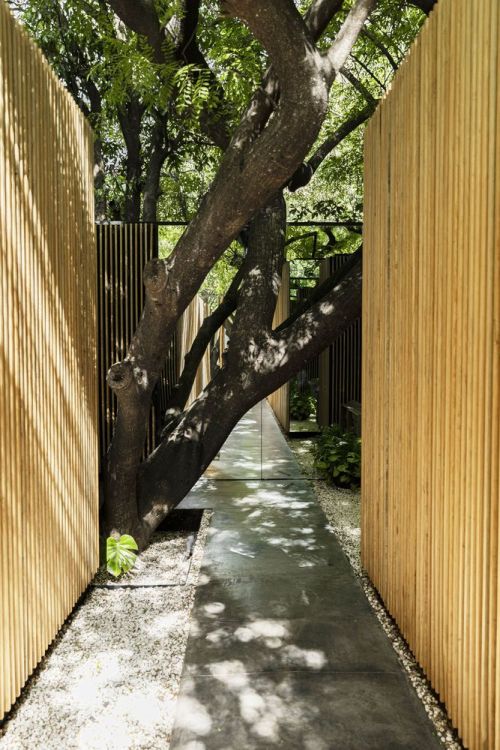 moodboardmix:Mague House, Malinalco, Mexico,Mauricio Ceballos X Architects