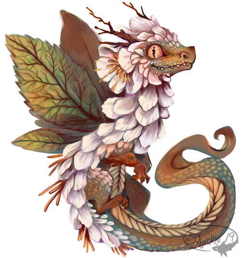 Sharkie-19:A Flower Dragon. 