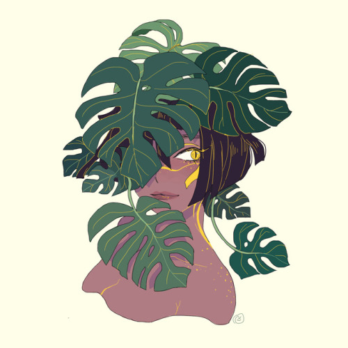 mochipanko: Monstera deliciosa and ginkgo tears