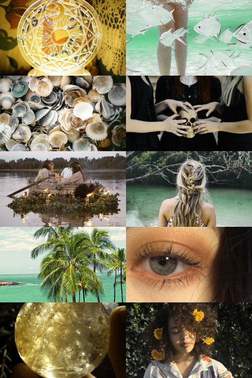 moodyhues:Florida Witch Aesthetic ; requested by @agentduckorico