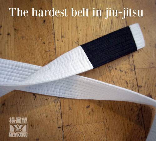 I can atest. 1st surgery down 2 more to go before I can restart my journey as a white belt. Just nee