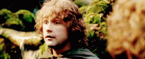 Pippin Took X Fem! Reader