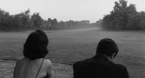 timotaychalamet:La Notte (1961) dir. Michelangelo Antonioni