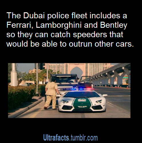 ultrafacts:  More Ultrafacts (Source) 