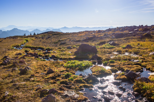 NORTHWEST ADVENTURE: Mount Rainier Mount Rainier is massive, a massive volcano. It&rsquo;s covered b