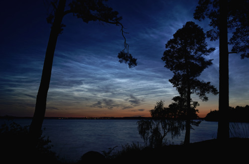 We had some insanely bright noctilucent clouds here last night. Beautiful and eerie at the same time