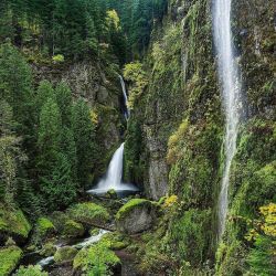 oregonexplored:  || Photo from @curtreesor || Wahclella Falls is closed to the public for three days this week for scheduled repair and maintenance of the parking lot. || Image selected by @ericmuhr || Join us in exploring Oregon, wherever you are, and