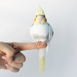 effelants:  mutantenfisch:  amysstitches:  sosuperawesome:  Crochet Birds / DIY Patterns  Tanya Zhylyayeva on Etsy  See our #Etsy or #DIY tags   When I started looking I was thinking how cute and perfectly balanced… and then the shark hat appeared and