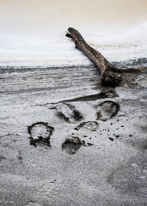 brucespencer:  “Footsteps leading #4-3198″ ©Bruce Spencer 2016