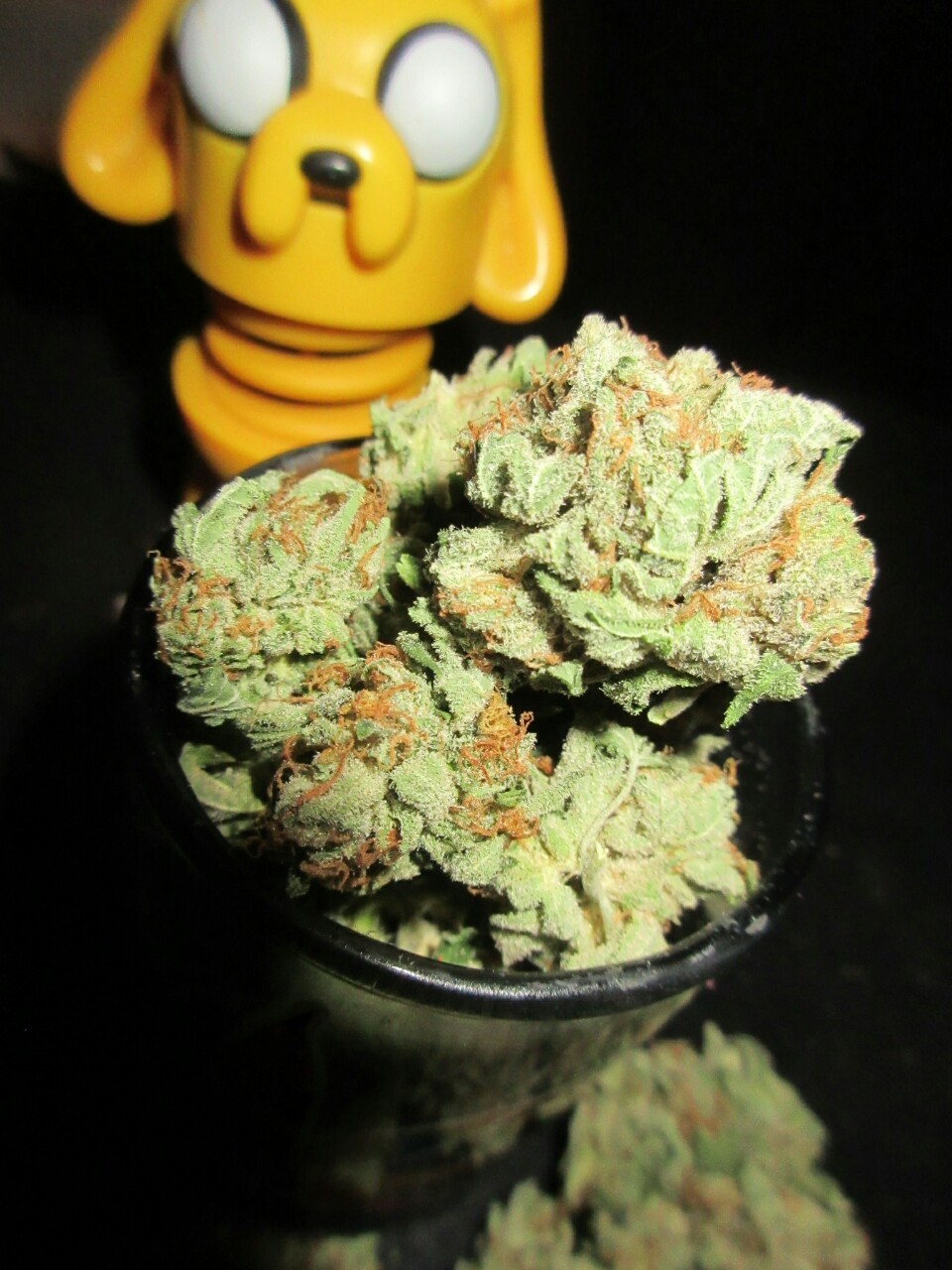themagicalmysticalwonders:  “Ohmyglob, look at that kief!”