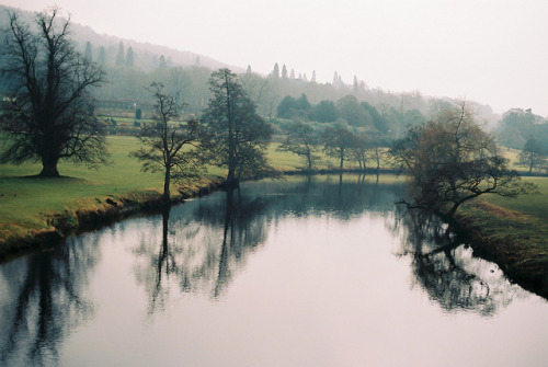 jacindaelena: Chatsworth by Chris Hughes