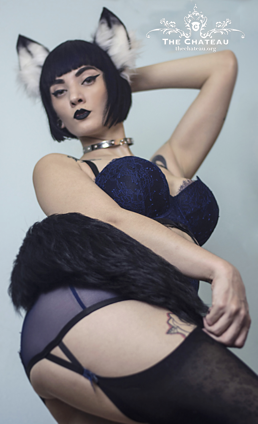 catgirlmanor:  Eira Maden, our newest precious level kitten &lt;3