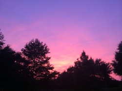 sannybby:  smoking a blunt and the sky looks