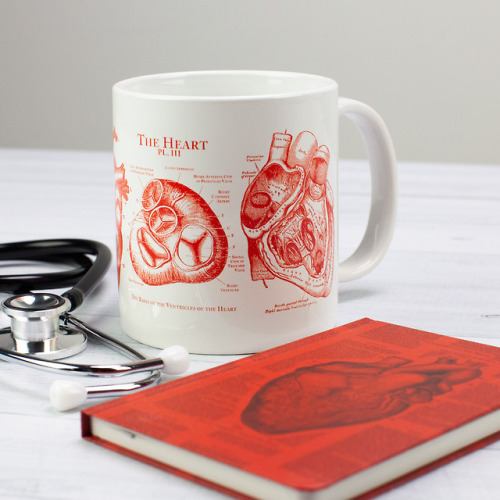 Anatomy, Nursing &amp; Medical inspired gift ideas by Cognitive Surplus.https://cognitive-surplus.co