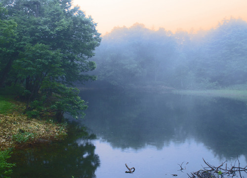 90377: a small pond (Manza highland) by Gudonjin AIZA