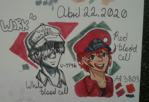 White Blood Cell And Red Blood Cell.