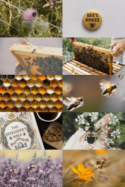 catastrophepins: Bumble Bee Aesthetic ; requested