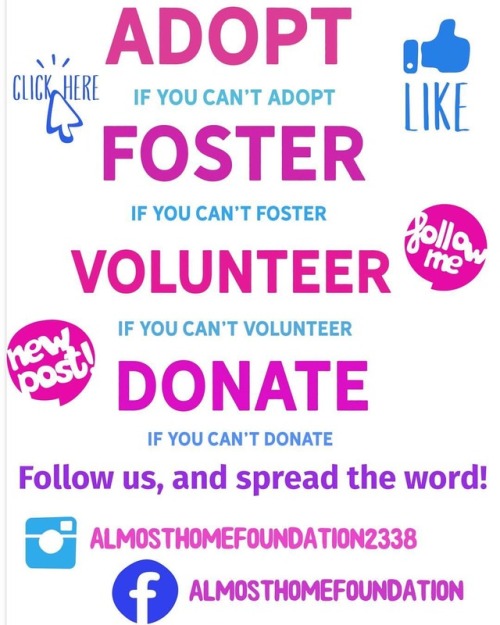 Adopt… foster… volunteer… donate . So many ways you can make a difference #almo