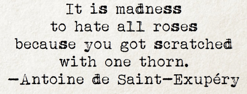 antoine de saint-exupery quote