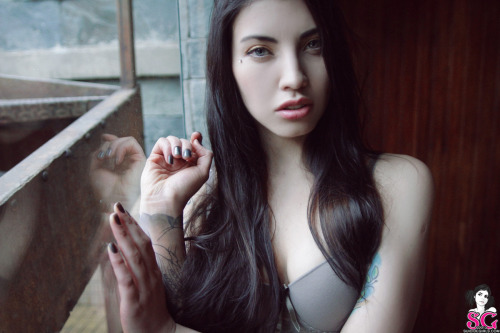  Discoquette Suicide  