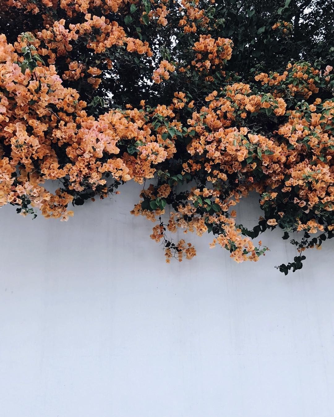 histinworld: 