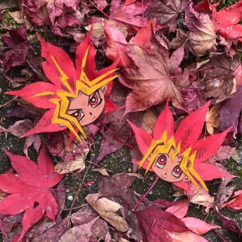 kazuki-yugioh-en: I have come to Kyoto in fall! The season for leaves changing color is also about t