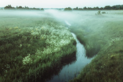 harmaa:  Morning fog by Dmitri Korobtsov