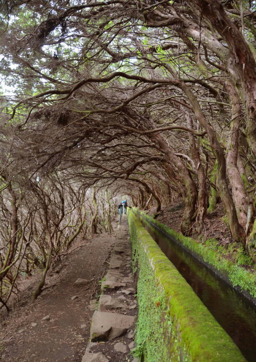 Levada walk to 25 Fontes in Madeira Island, Portugal (by Pui-Leng).