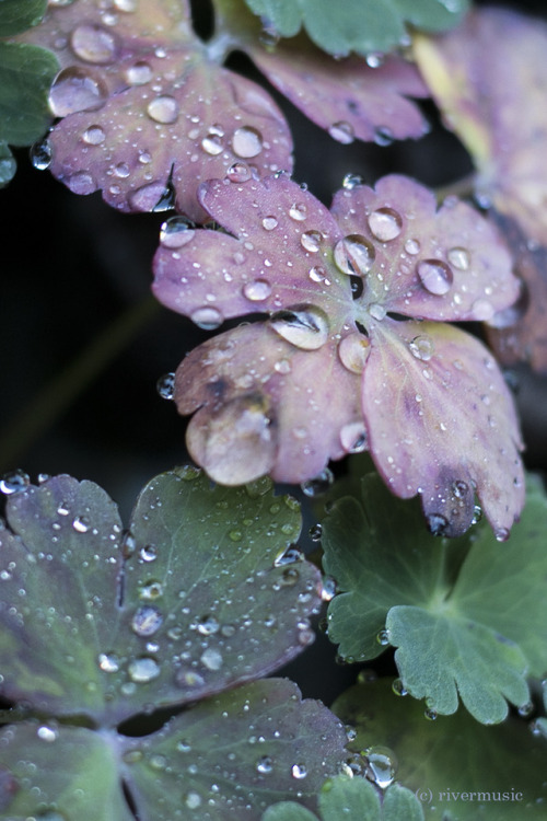 riverwindphotography:~~Refreshments~~© riverwindphotography