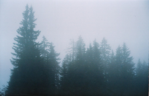 foxmouth:  Austria, 2014 | by Ingeborg Klarenberg