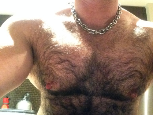 cool-damsmuscle: Extremely hairy muscle bear  i create this little blog to show hairy man are n