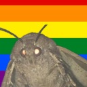 gayflesheatingflies avatar