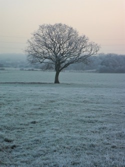 Vwcampervan-Aldridge:  Frosty Morning, Aldridge, Walsall, England All Original Photography