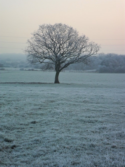 vwcampervan-aldridge: Frosty morning, Aldridge, Walsall, England All Original Photography by ht