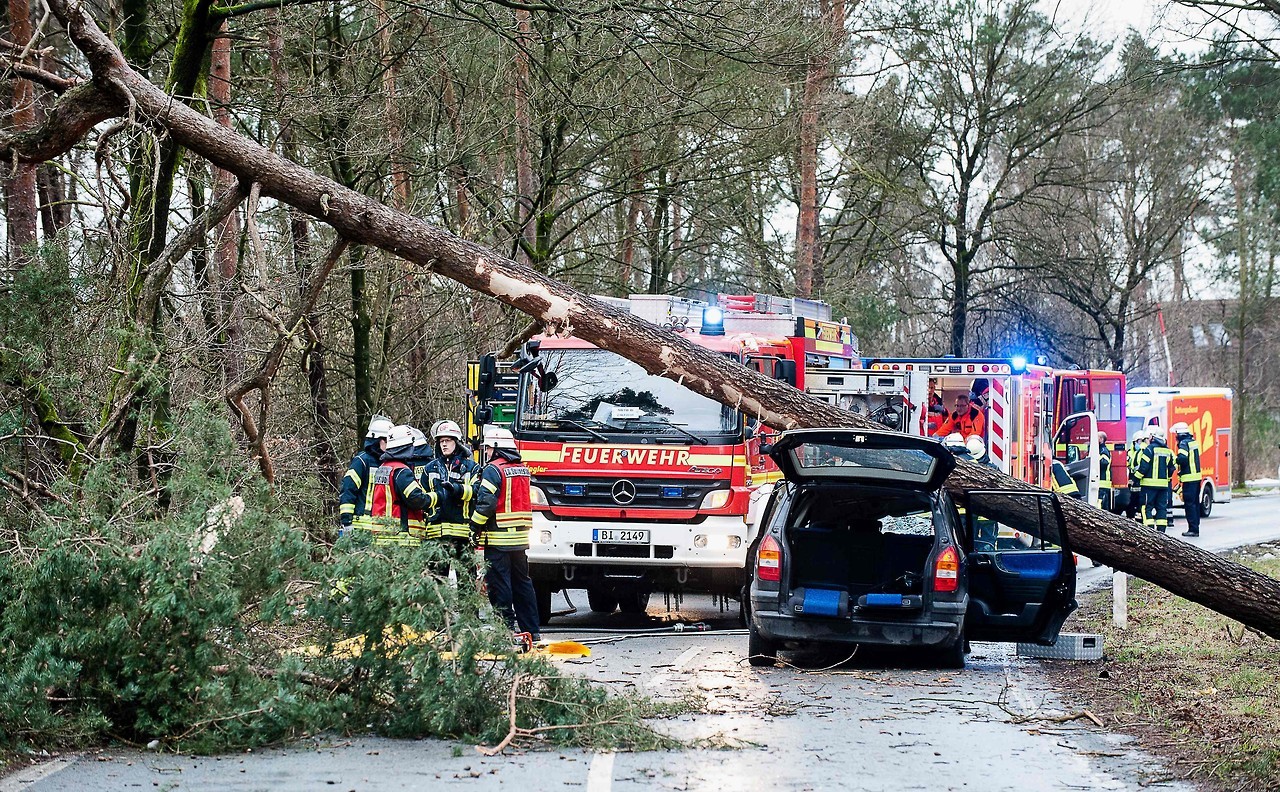 FUERTE TEMPORAL EN ALEMANIA. Una persona murió y varias resultaron heridas en el oeste de Alemania por la caída de árboles y ramas derribados por los vientos del temporal Friederike, que azota el país y ha obligado a paralizar el tráfico ferroviario...