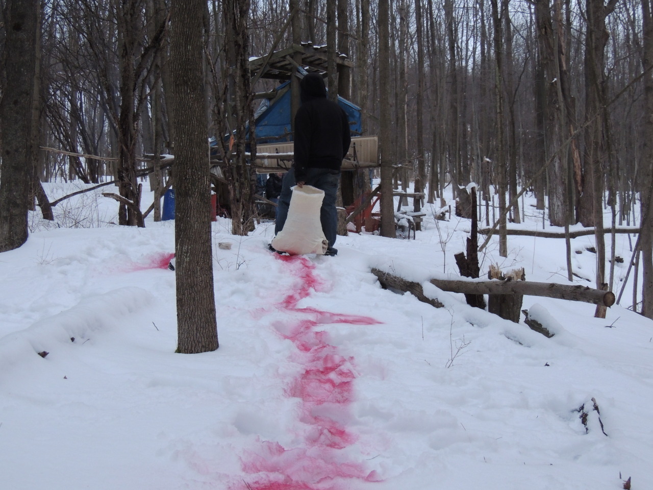 jakthefish:  I found a flash drive in the ice with these images on it labeled “jello