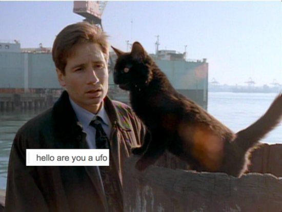 guyism:  100 of the funniest things ever posted to Tumblr…. aka, Tumblr’s Best.