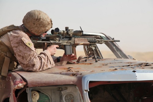 house-of-gnar:  Scout Sniper Platoon, Weapons Company, Battalion Landing Team 3/5, 15th Marine Expeditionary Unit. US Marine Corps photo by Cpl. Timothy Childers/Released 