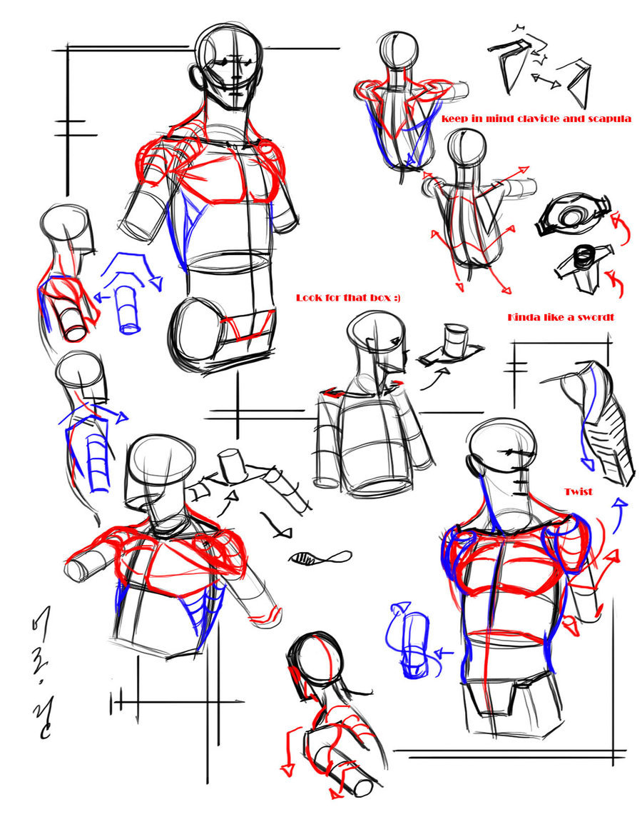 rhimeslex:  jay-h-bomb:  Here’s some awesome figure drawing and anatomy tips, tricks