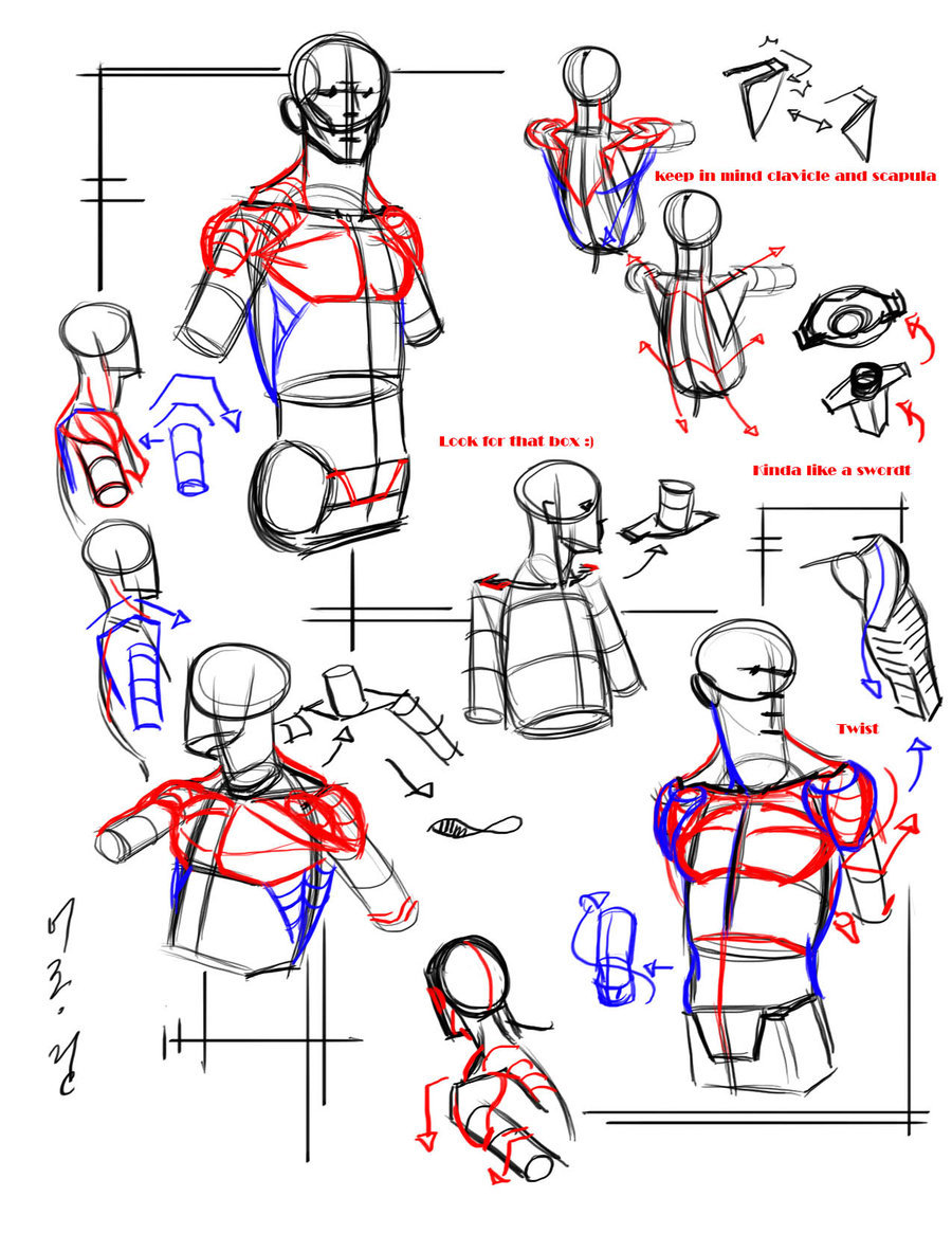 jay-h-bomb:  Here’s some awesome figure drawing and anatomy tips, tricks and tutorials