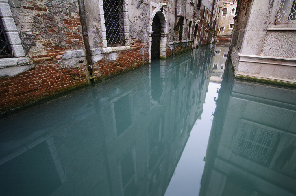 definitelydope:  high tide (by fiddleoak)