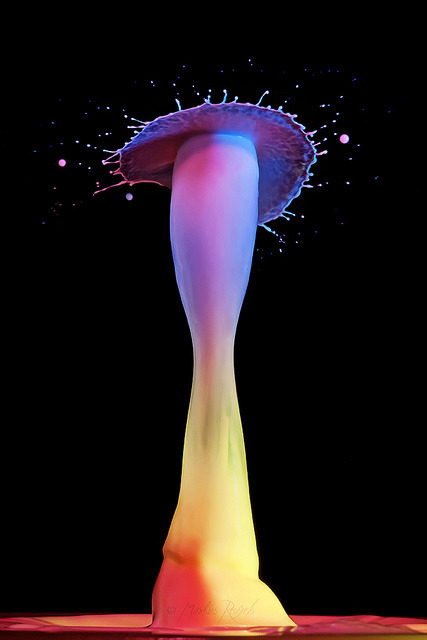 martinekenblog:  Markus Reugels&rsquo; amazing high speed photography 