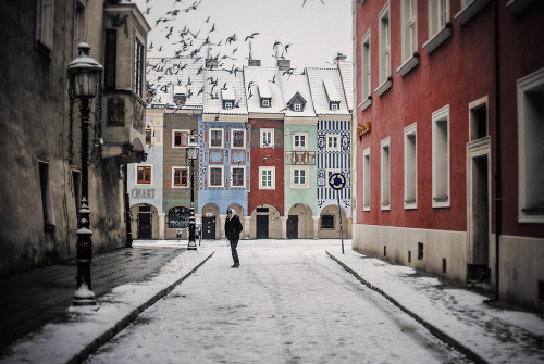 Porn travelingcolors:  Images from Poznan | Poland photos